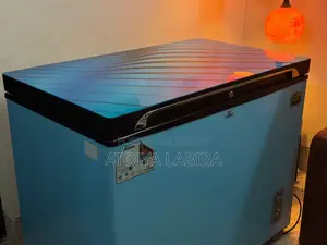 ওয়ালটন ২৫৫ লিটার ডিপ ফ্রিজার | চমৎকার অবস্থা | ওয়ারেন্টি উপলব্ধ