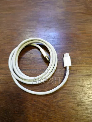 iPhone 16 Pro Cable