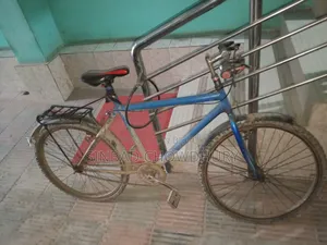 Ranger Max Cycle