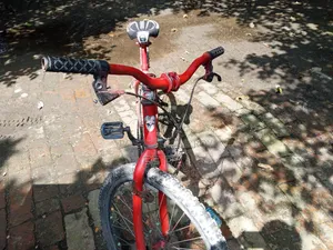 24 Size Bicycle