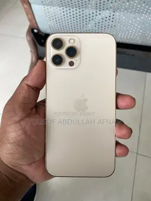 Apple iPhone 12 Pro Max 256 GB Gold