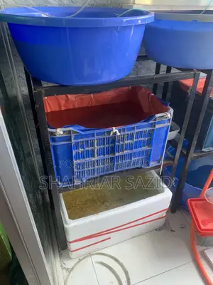 অ্যাকুরিয়াম স্টিল স্ট্যান্ড