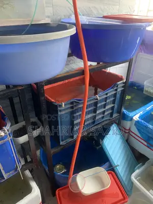 অ্যাকুরিয়াম স্টিল স্ট্যান্ড