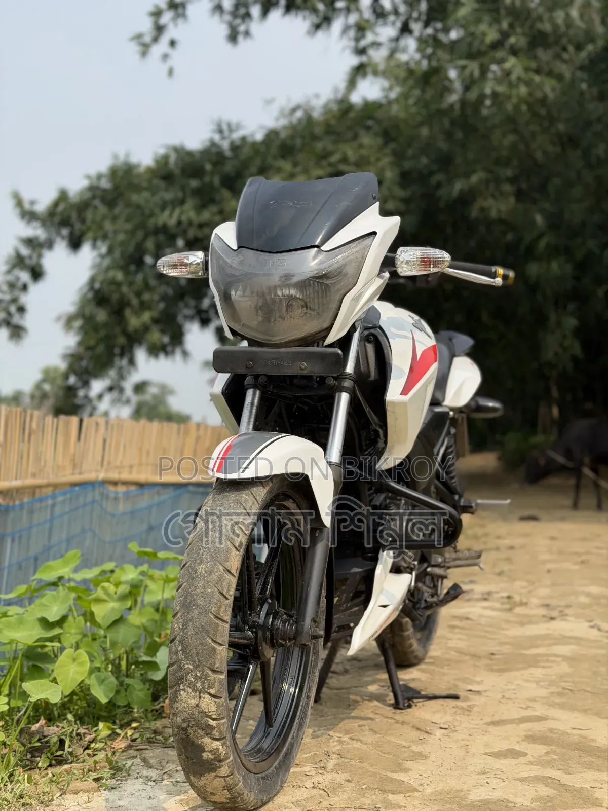 TVS Apache RTR 160 2V 2015 White