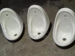 Wall Mounted Urinal Bowl