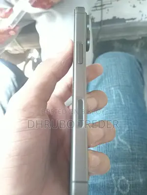 Apple iPhone 17 256 GB Gray