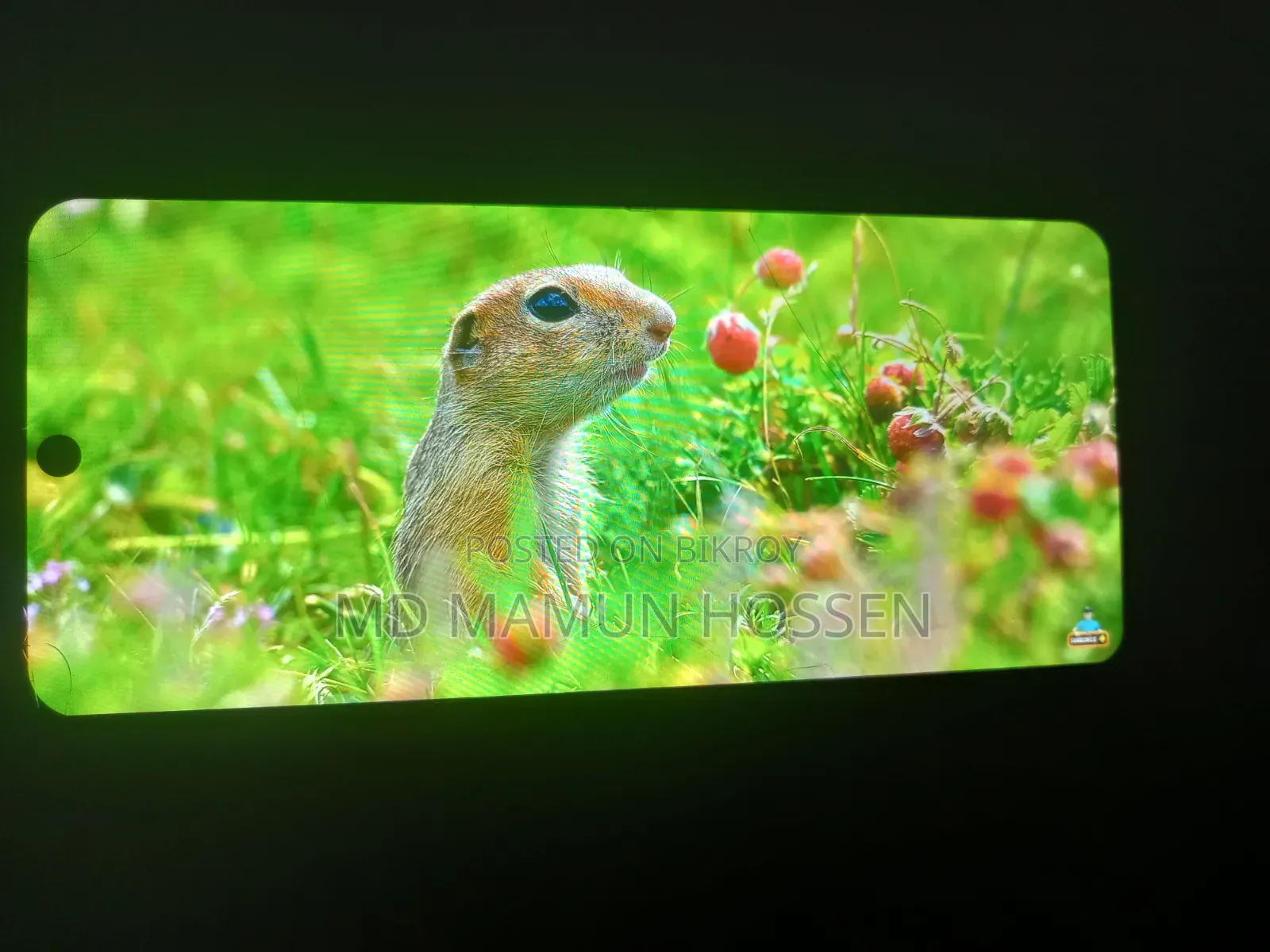 Infinix Hot 11s NFC 128 GB Green