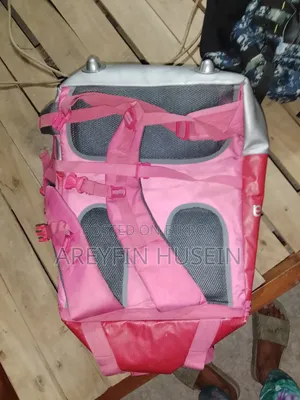 Foodpanda Bag