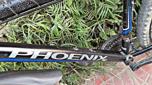 Phoenix Gear Cycle