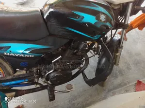 Dayang DY300T-A 2012 Purple