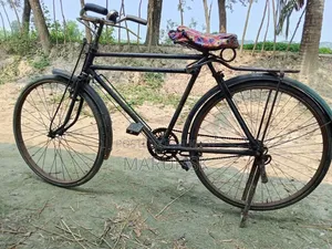 চায়না ফানিক্স সাইকেল বিক্রি হবে