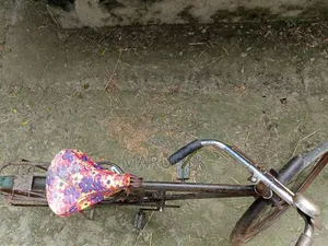 চায়না ফানিক্স সাইকেল বিক্রি হবে