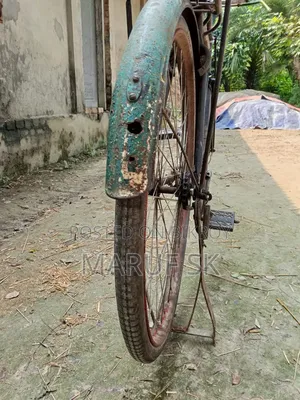 চায়না ফানিক্স সাইকেল বিক্রি হবে