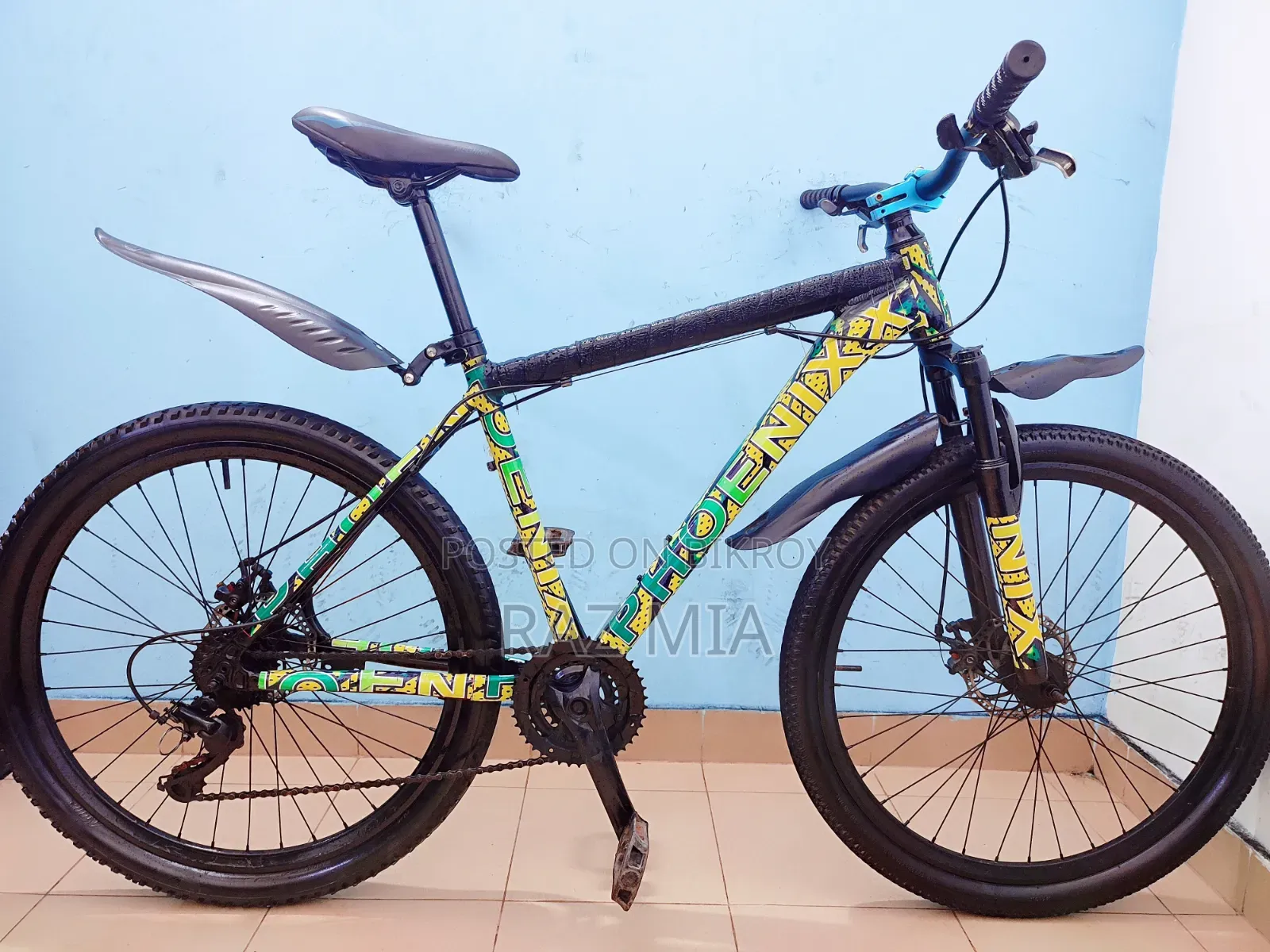 8 Gear Phoenix Cycle