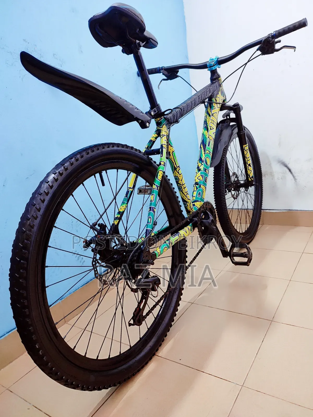 8 Gear Phoenix Cycle