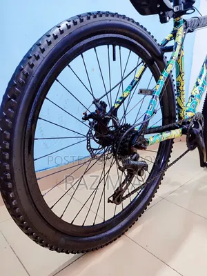 8 Gear Phoenix Cycle