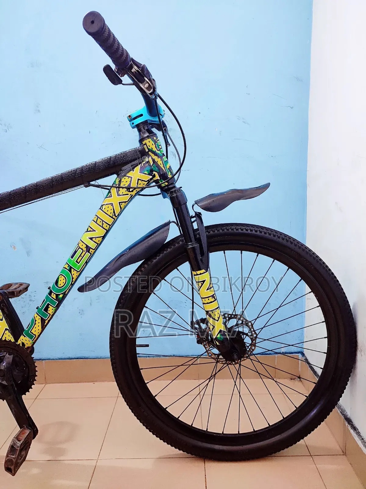 8 Gear Phoenix Cycle