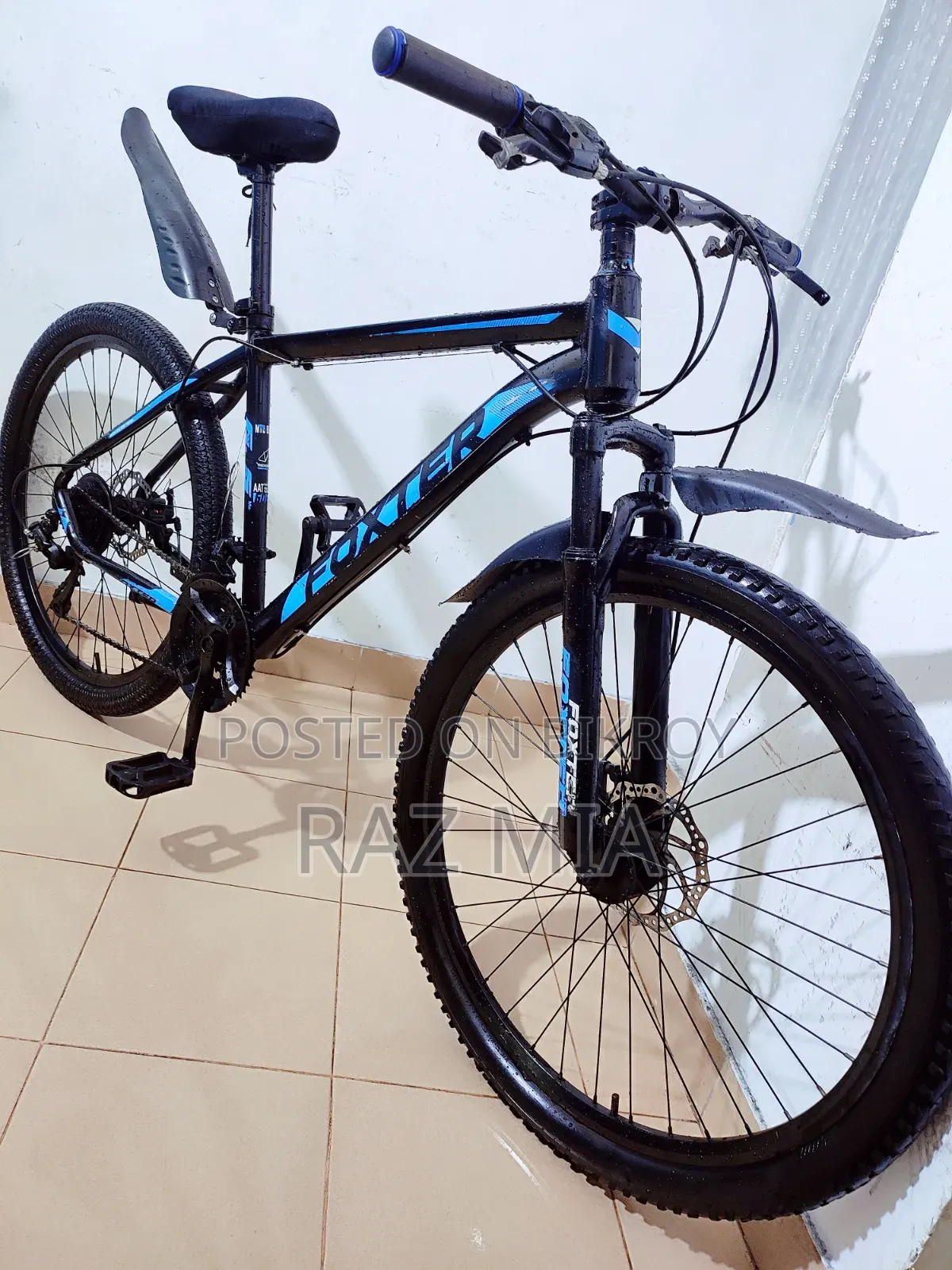 Foxter Gear Cycle