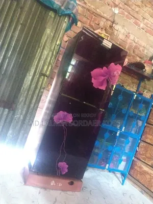 ফিরিজ টি হলো জেনারেল কি হলো সাড়ে ১২ ইঞ্চি