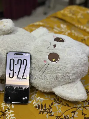 অ্যাপল আইফোন ১৬ প্রো ম্যাক্স ২৫৬ জিবি সিলভার