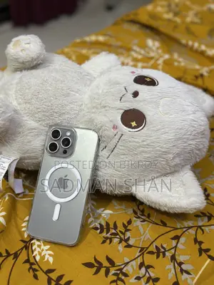 অ্যাপল আইফোন ১৬ প্রো ম্যাক্স ২৫৬ জিবি সিলভার