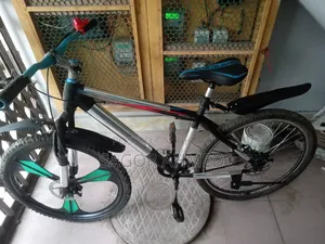 A good quality bicycle. Everything has been newly installed.