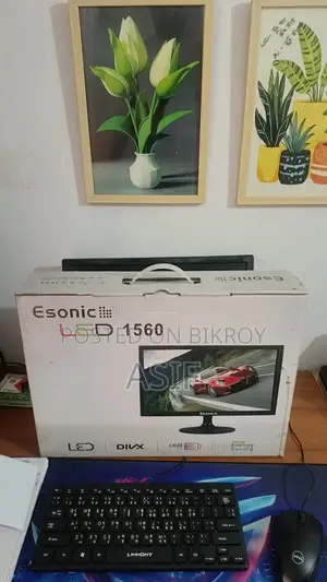 Esonic Monitor
