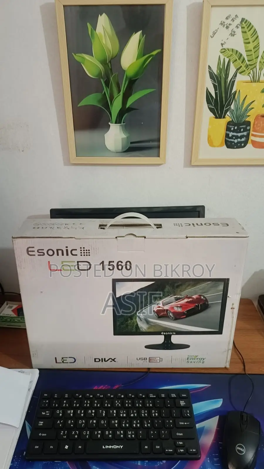 Esonic Monitor