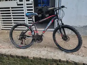 Jagger Cycle