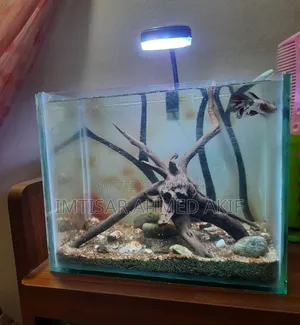 Aquarium for Sale