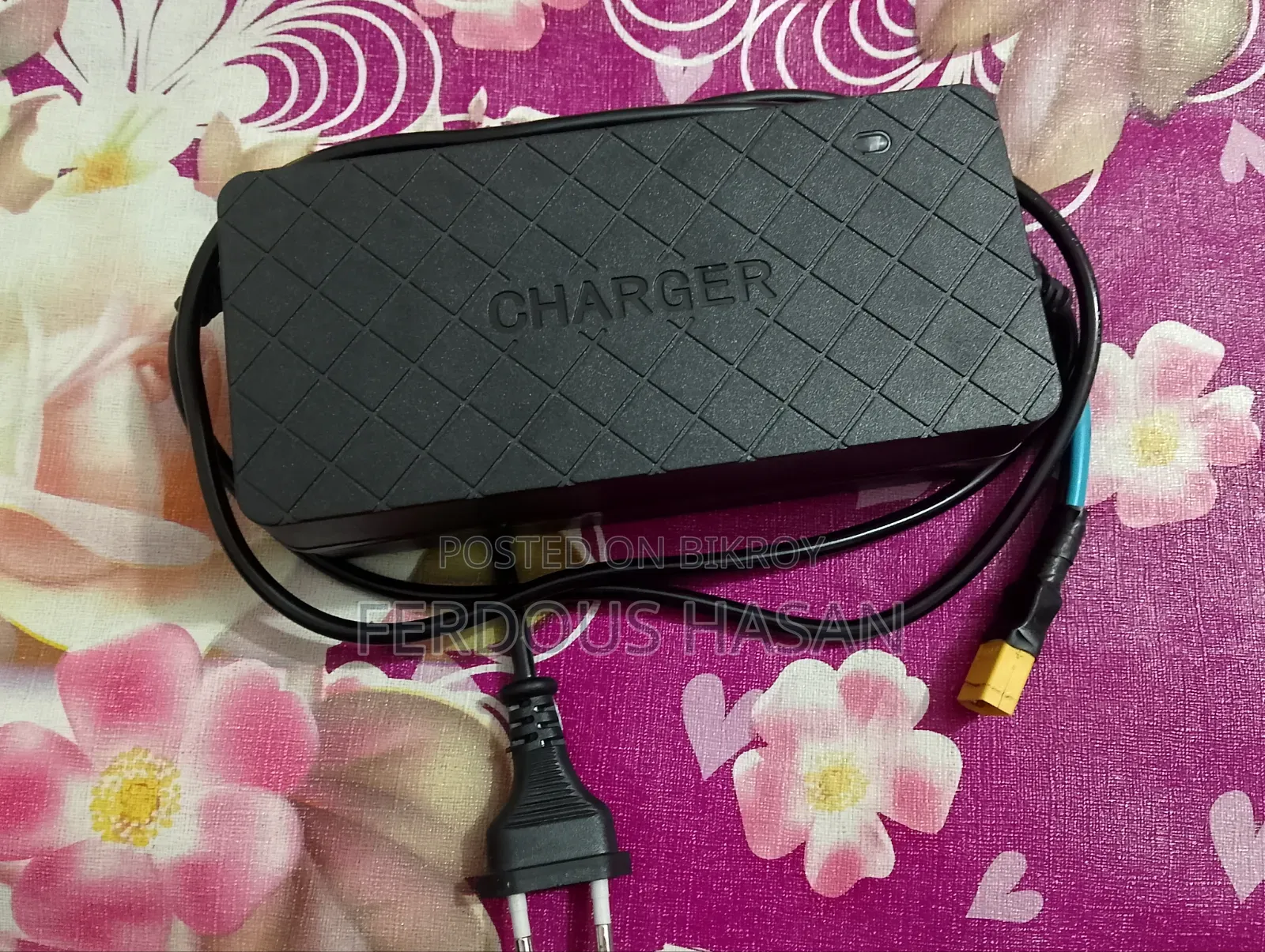 ইলেকট্রিক সাইকেল চার্জার