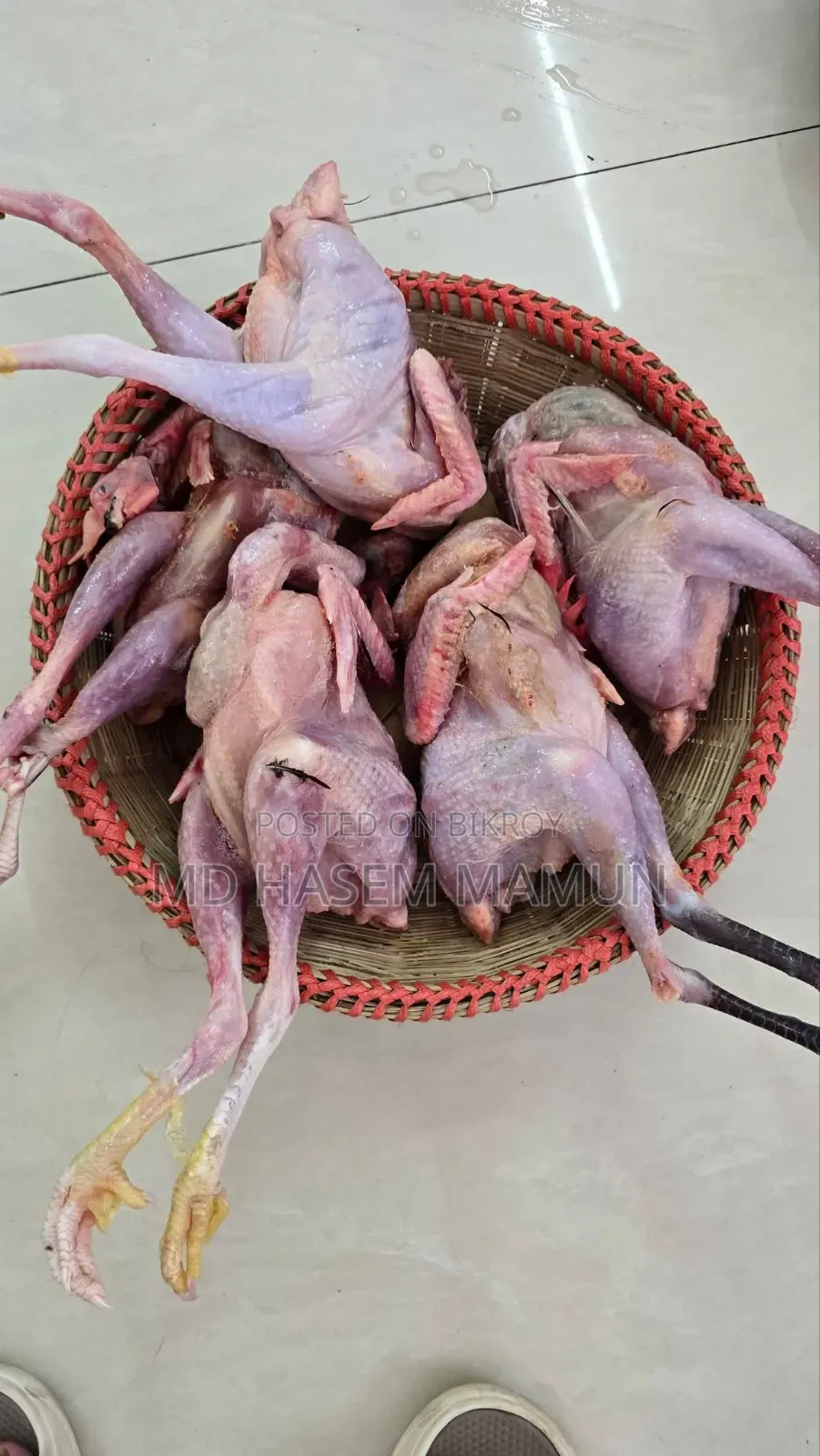 দেশি মোরগ ও দেশি হাঁস মুরগির ডিম পাবেন