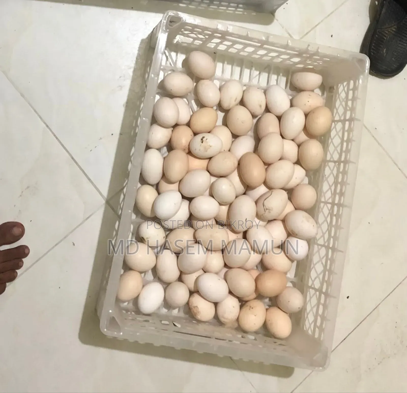 দেশি মোরগ ও দেশি হাঁস মুরগির ডিম পাবেন