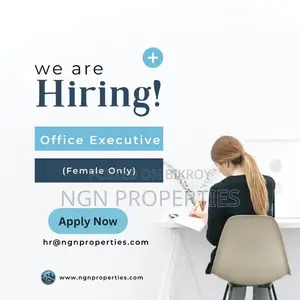 Office Job