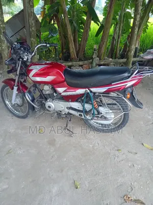 বাজাজ সিটি ১০০ ২০১০ লাল