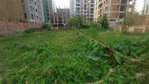 Bashundhara Jomi Bikroy L Block 3 Katha Plot South Facing