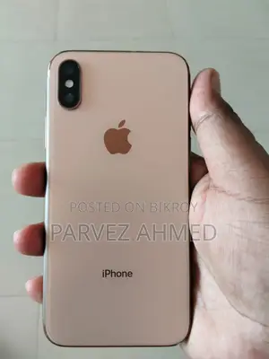 অ্যাপল আইফোন এক্সএস ২৫৬ জিবি রোজ গোল্ড