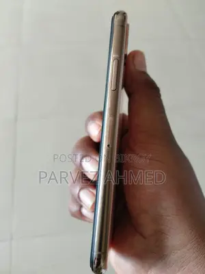 অ্যাপল আইফোন এক্সএস ২৫৬ জিবি রোজ গোল্ড