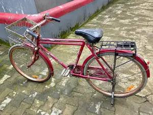 Duranta Bicycle