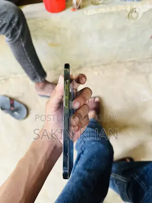 অ্যাপল আইফোন ১২ প্রো ম্যাক্স ২৫৬ জিবি ব্লু