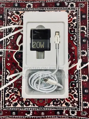 iPhone Charger