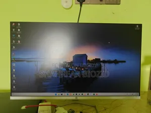 HP Monitor