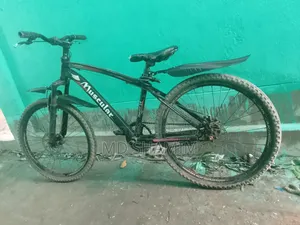 Durana Cycle