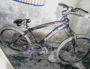 Durana Cycle