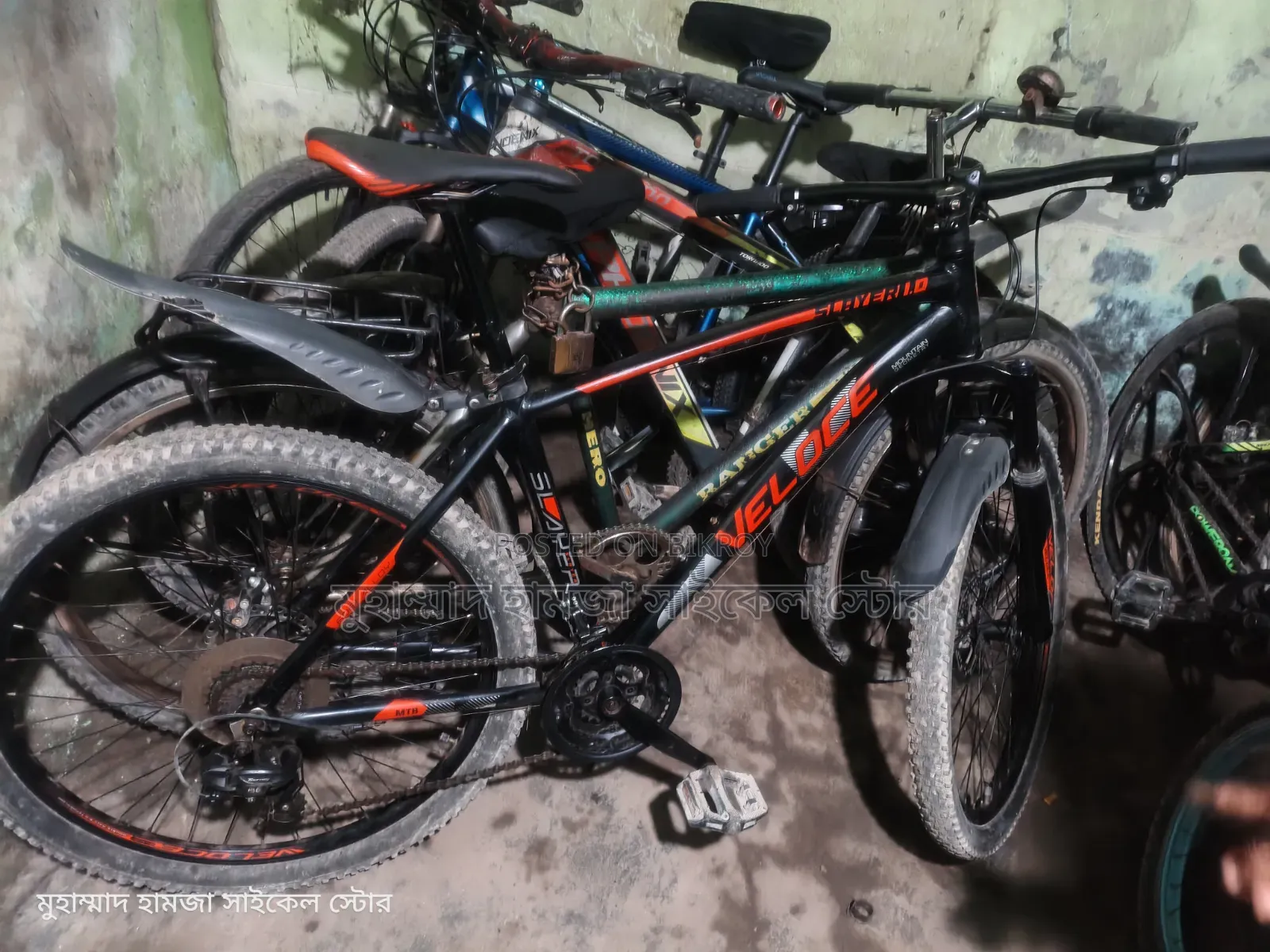 Veloce Sayler 1.0