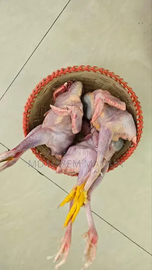 🐔 দেশি মুরগি ও 🦆 দেশি হাঁস — রান্নার জন্য প্রস্তুত | হোম ডেলিভারি