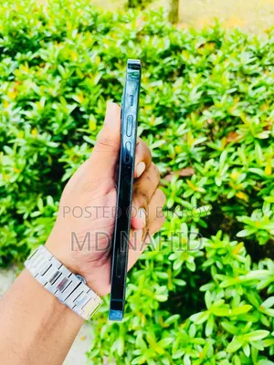 অ্যাপল আইফোন ১২ প্রো ১২৮ জিবি নীল