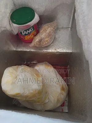 সিঙ্গার ডিপ রেফ্রিজারেটর