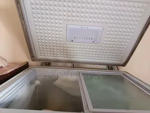 সিঙ্গার ডিপ রেফ্রিজারেটর