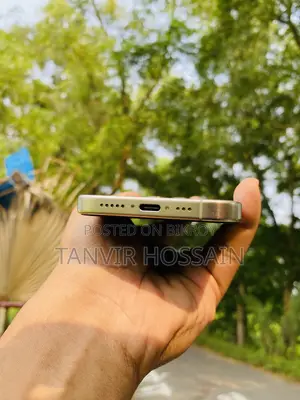 অ্যাপল আইফোন ১৫ প্রো ১২৮ জিবি সিলভার